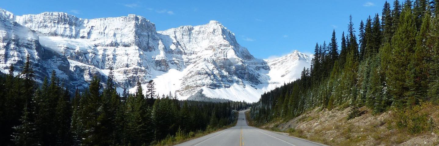 Daniel Clements banner