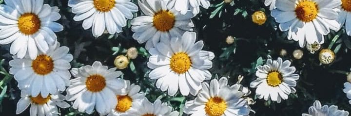 g_barrera25's profile banner image