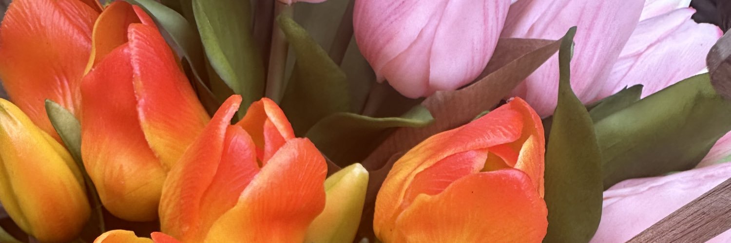 BethYounes's profile banner image