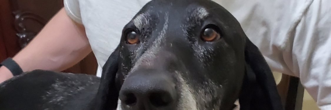 realpeter_d's profile banner image