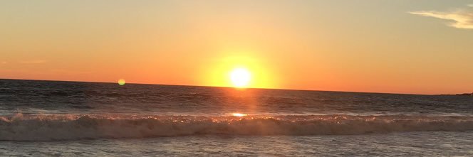 Better Call Chevi banner