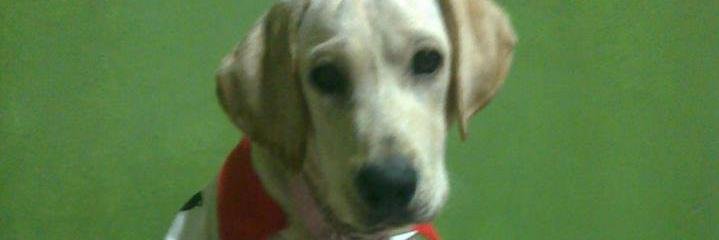 daysRiverPlate's profile banner image