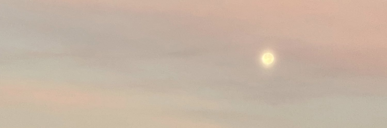 _DimeLucy's profile banner image