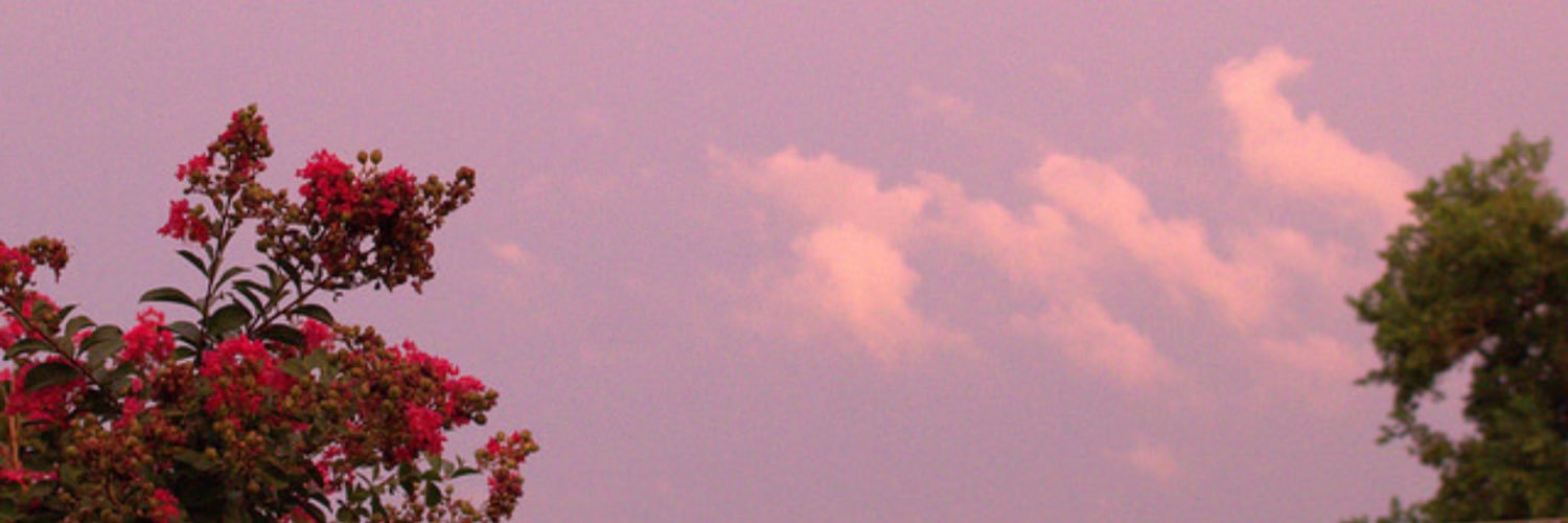Momeeeeeeeeeena's profile banner image