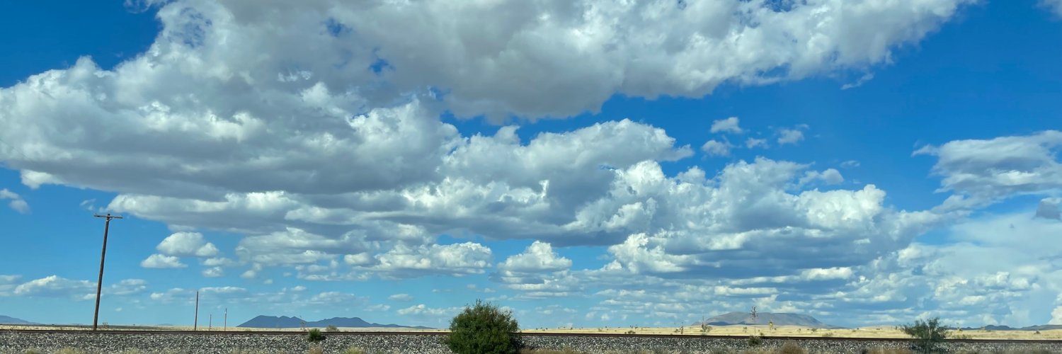Michaeleen Doucleff, PhD banner
