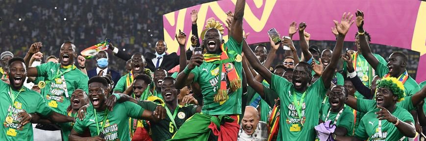 🇸🇳🇸🇳 banner