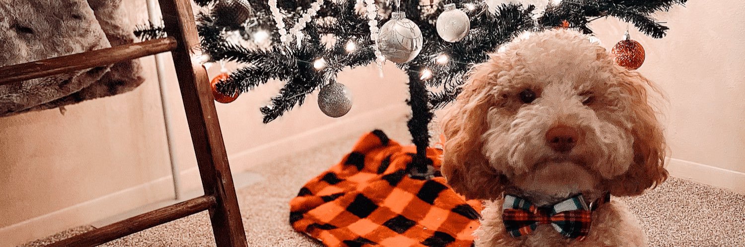 Nikkiavila_'s profile banner image