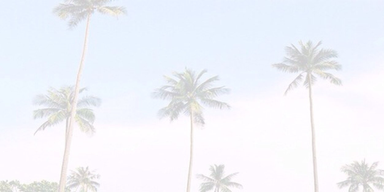 fridijohansson's profile banner image