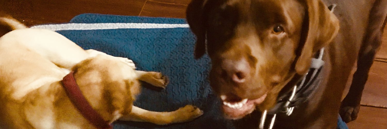 AcesorSteve's profile banner image