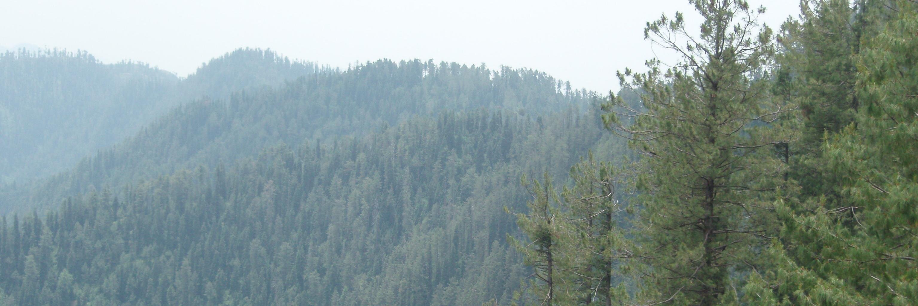 saad1990_'s profile banner image