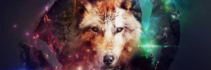 derrickwadek's profile banner image