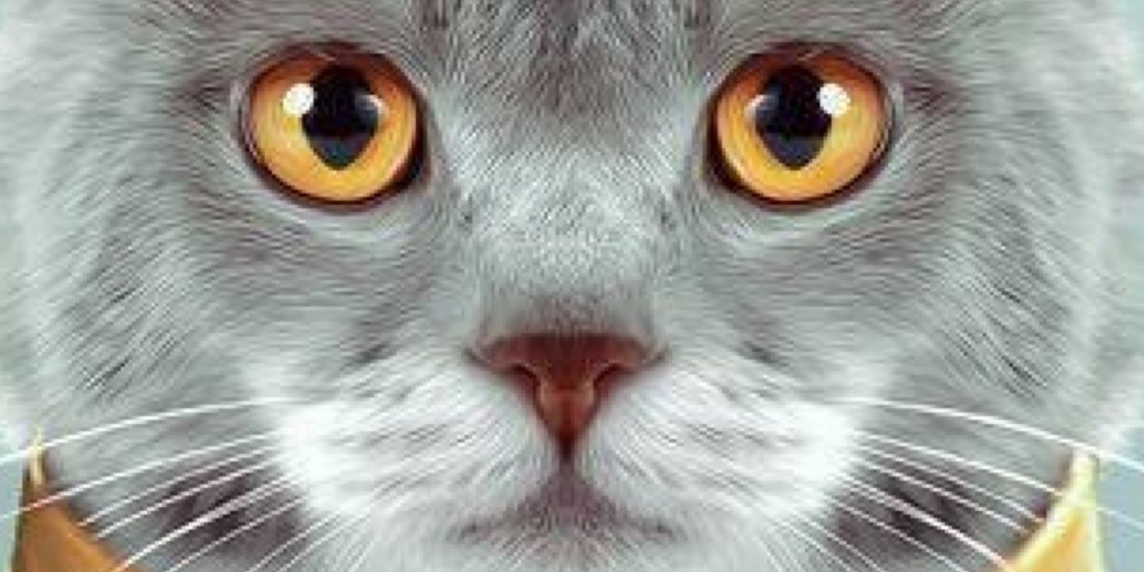 karent_ponce's profile banner image