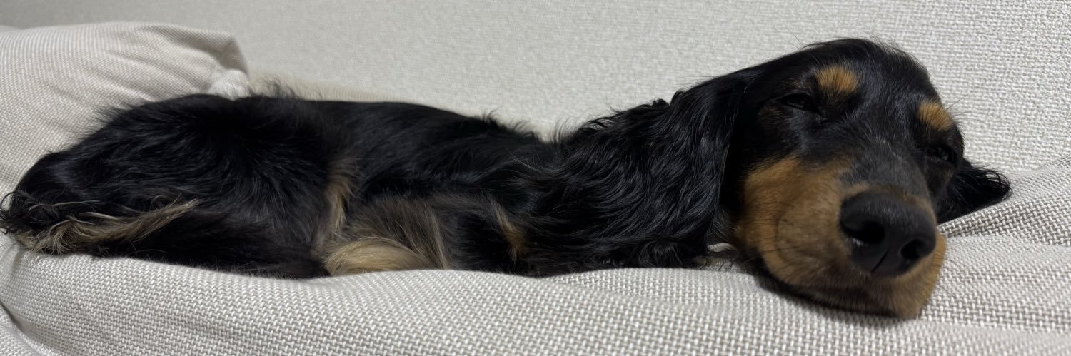 新（あらた） banner