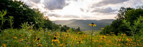 Bolton Valley Profile Banner