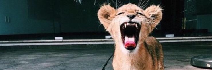 rachbingg's profile banner image