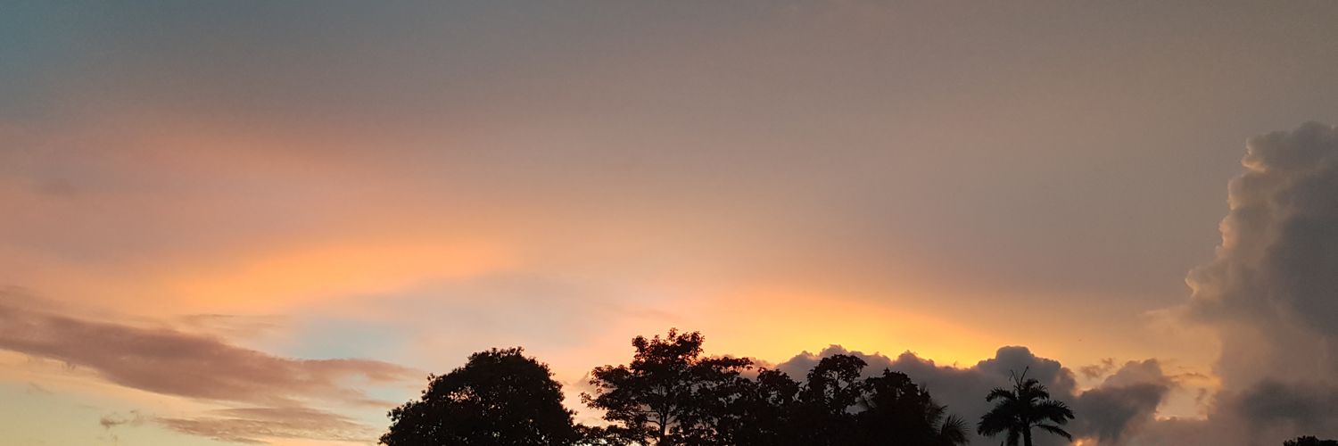 LiriethMiranda's profile banner image