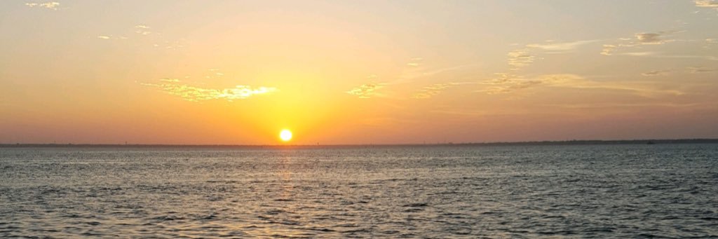CJ banner