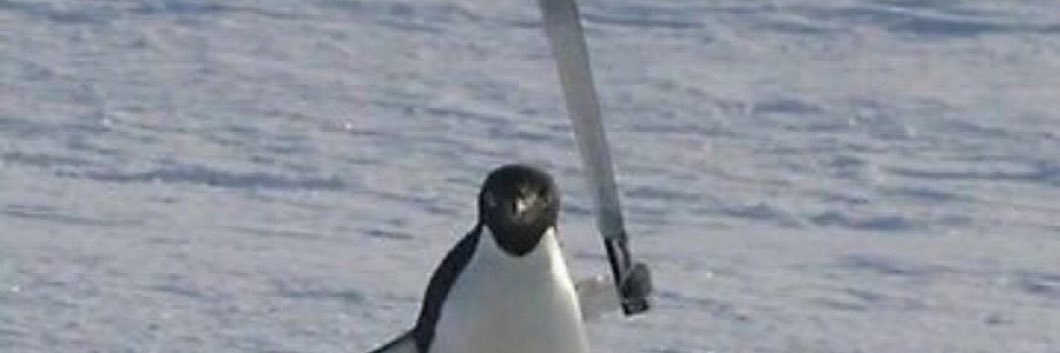 osocnort's profile banner image