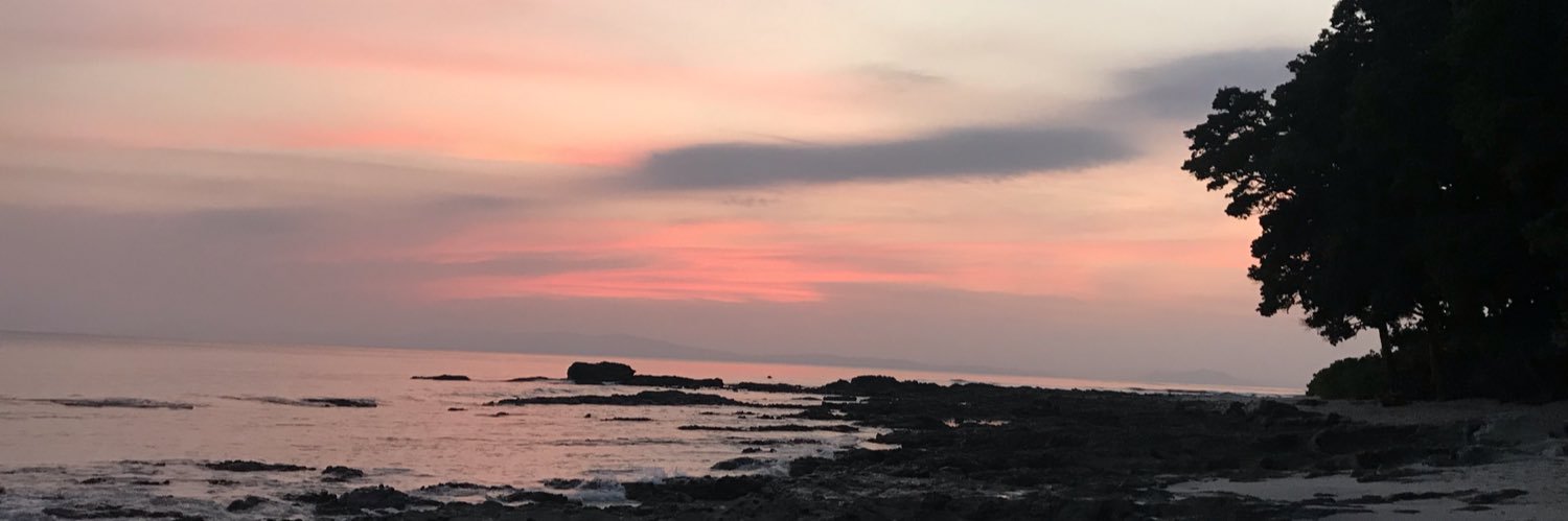 rasnaorange's profile banner image