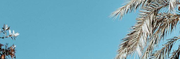 lexie_hall12's profile banner image