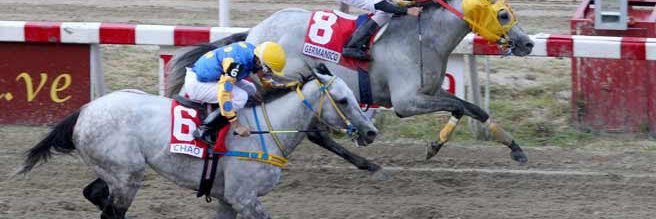 reyesdelhipismo's profile banner image