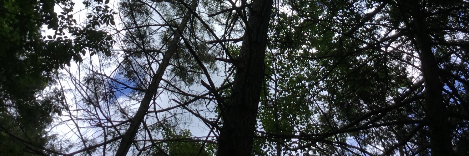 JUSTPOLITICS123's profile banner image