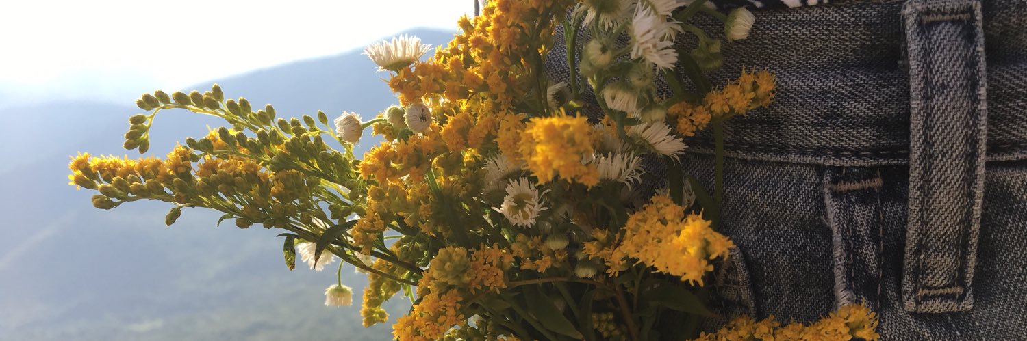 Allison Herron banner