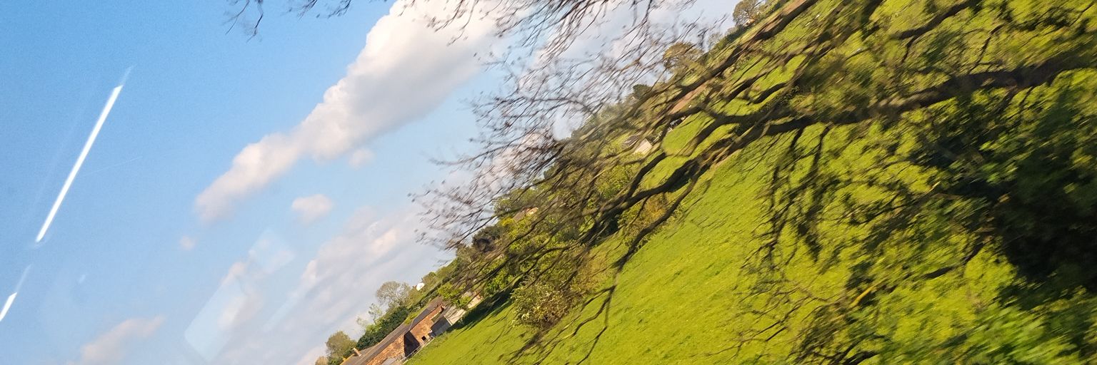 much_goodness's profile banner image