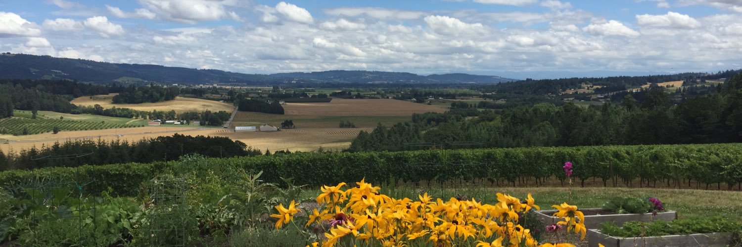 Penner-Ash Wine banner