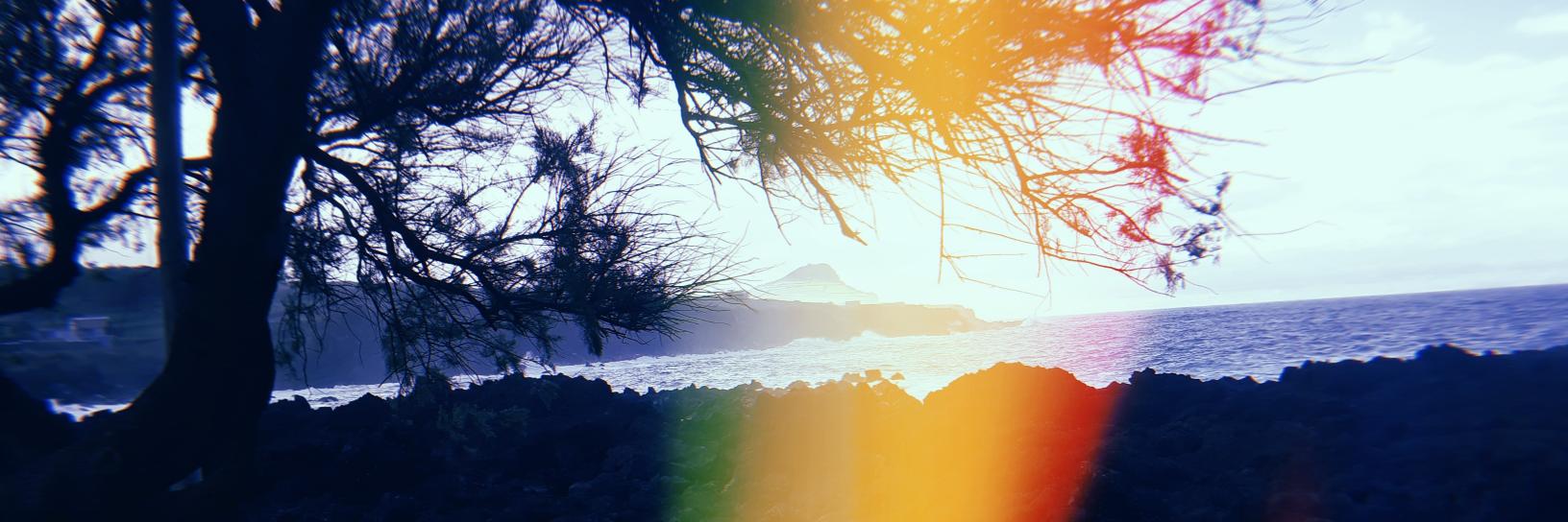 mdjakarian's profile banner image