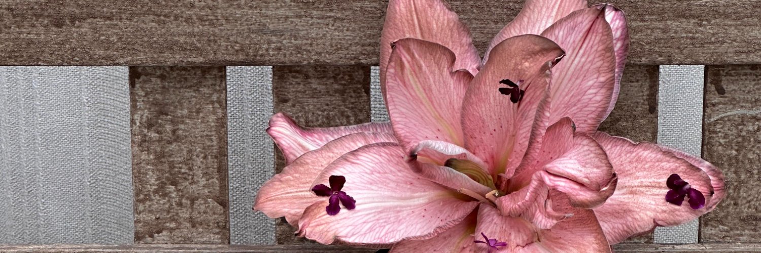 Eray_Temell's profile banner image