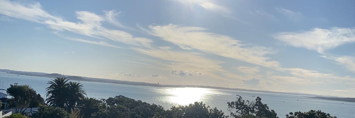 videsihannah's profile banner image