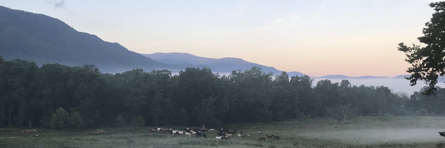 rachtrus's profile banner image