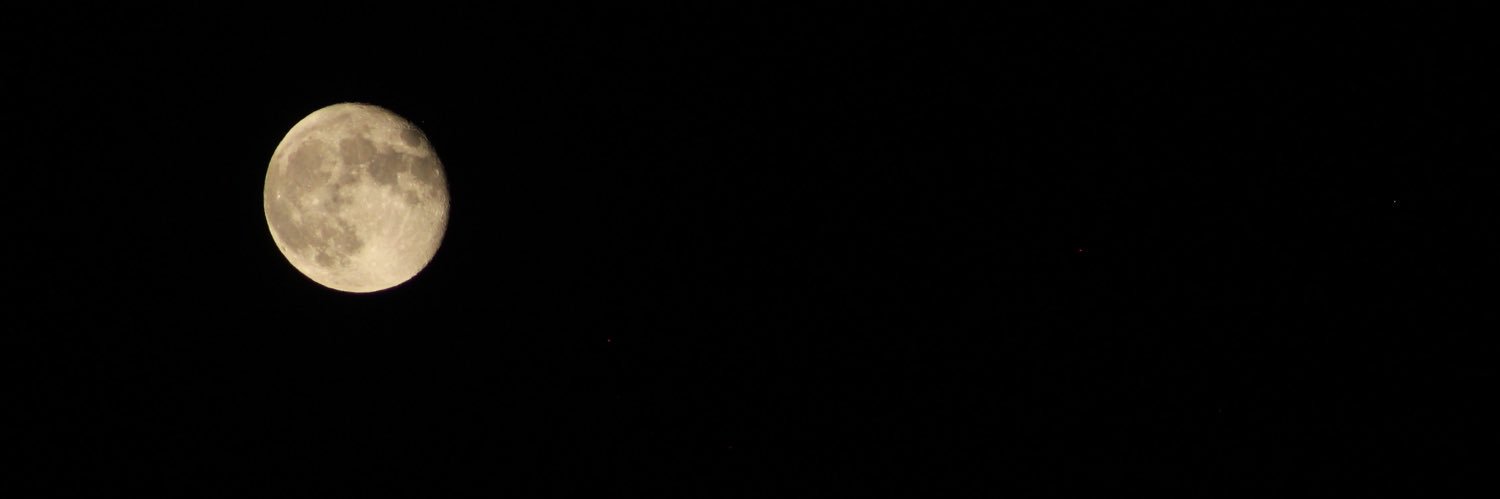 MeganSense_'s profile banner image