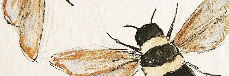 HaileyBomar's profile banner image