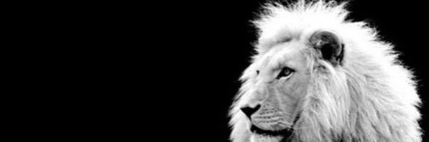 CharlesEteri's profile banner image