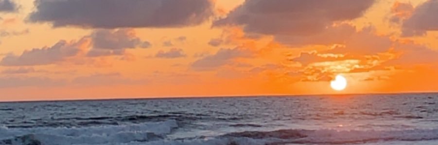 Michael Kearney banner