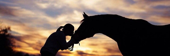 molly_cooper13's profile banner image
