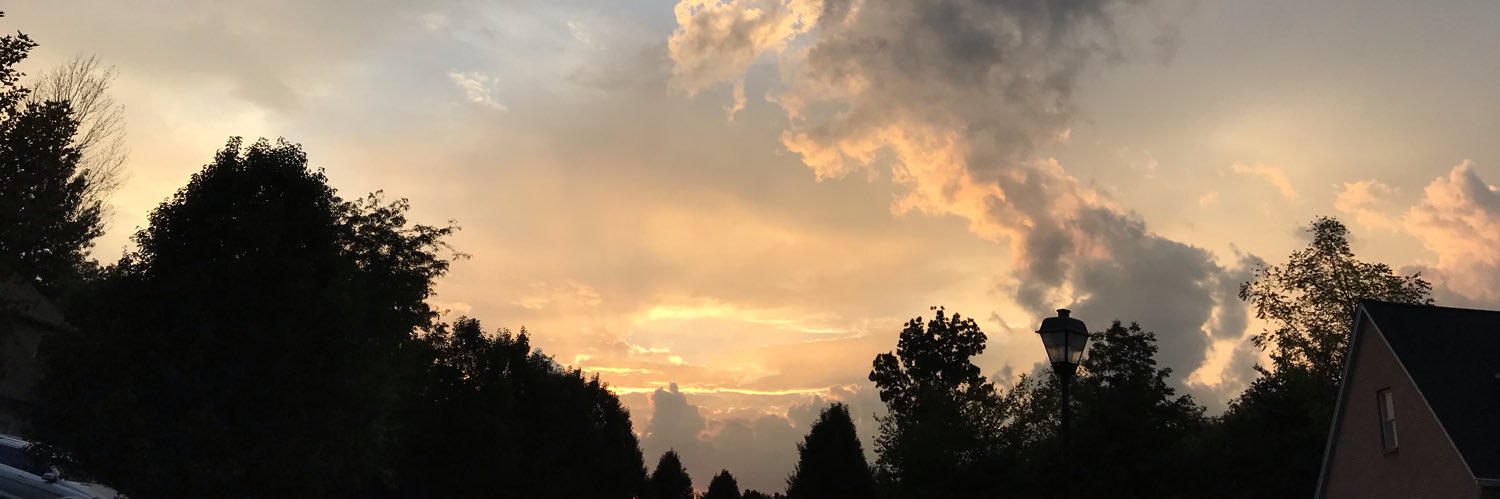 tstang_4's profile banner image