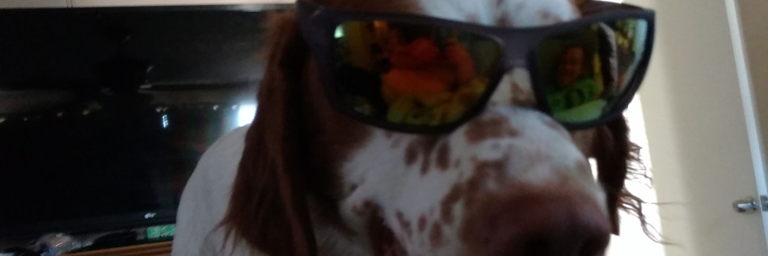 bethvixen's profile banner image