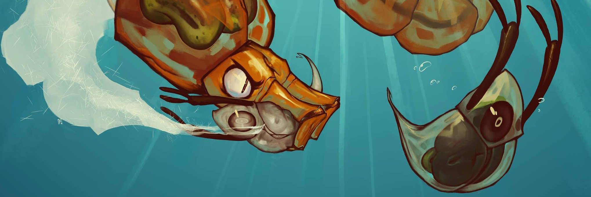 Marta Shocket 🏳️‍🌈 banner