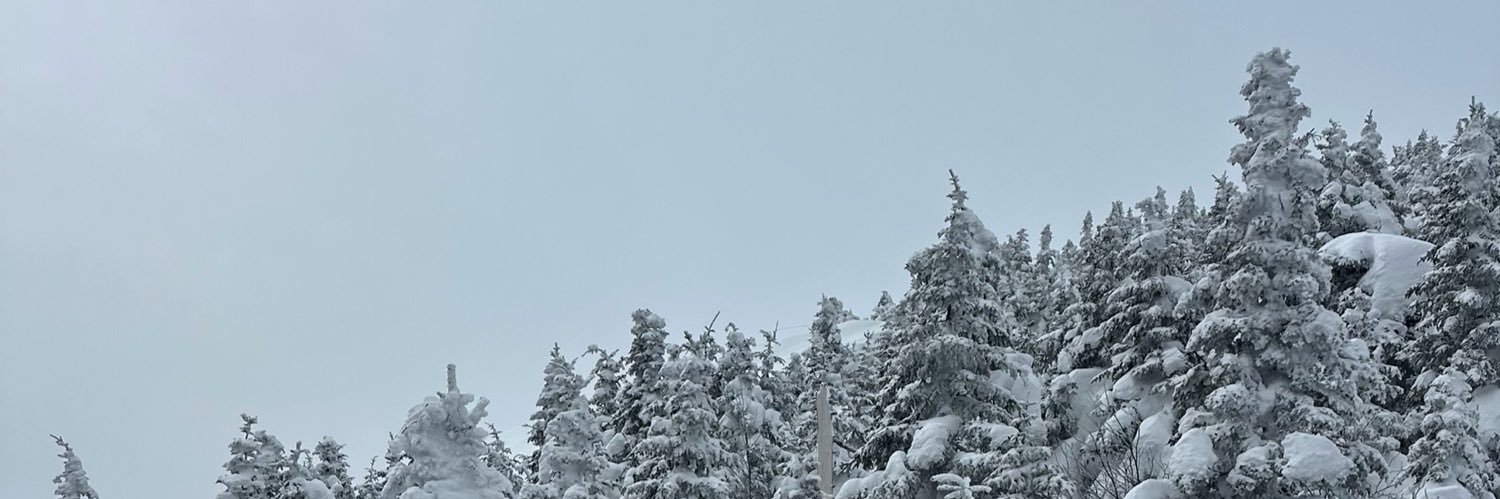 ceezy1429's profile banner image
