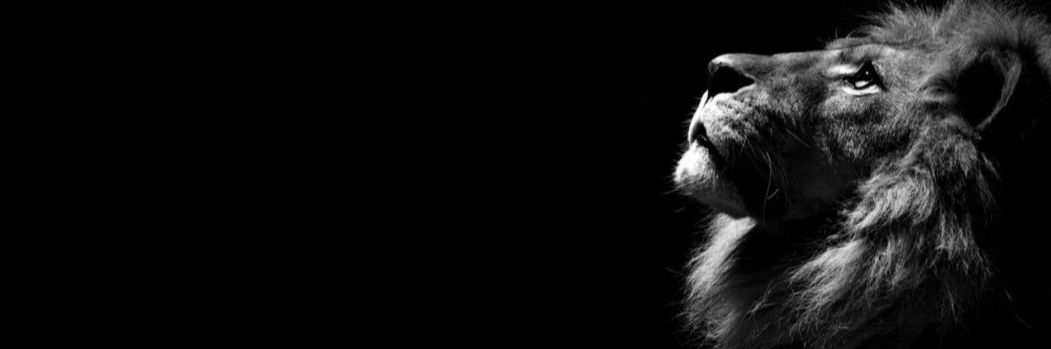 scurtis3x's profile banner image