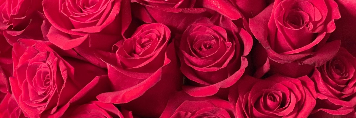 OhThatsFallon's profile banner image