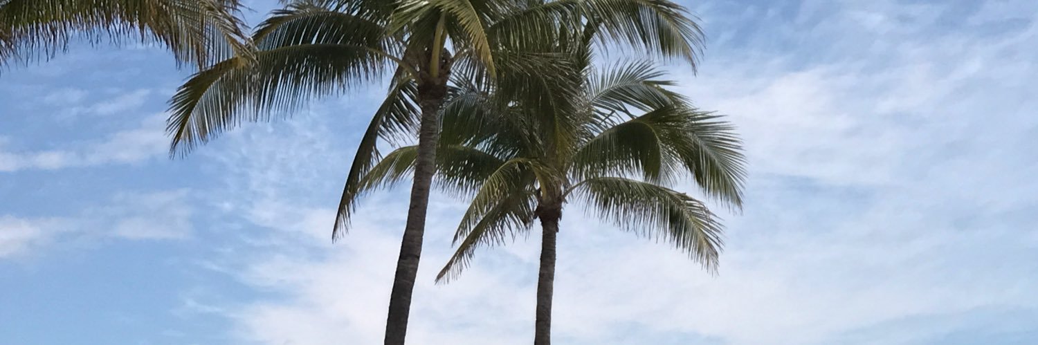 bizeebec's profile banner image