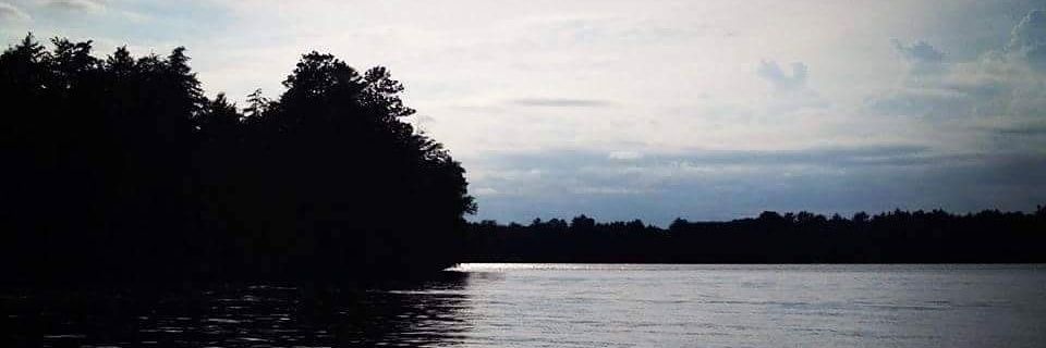 miranda_reis's profile banner image