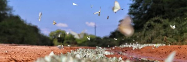 cvuyk Profile Banner