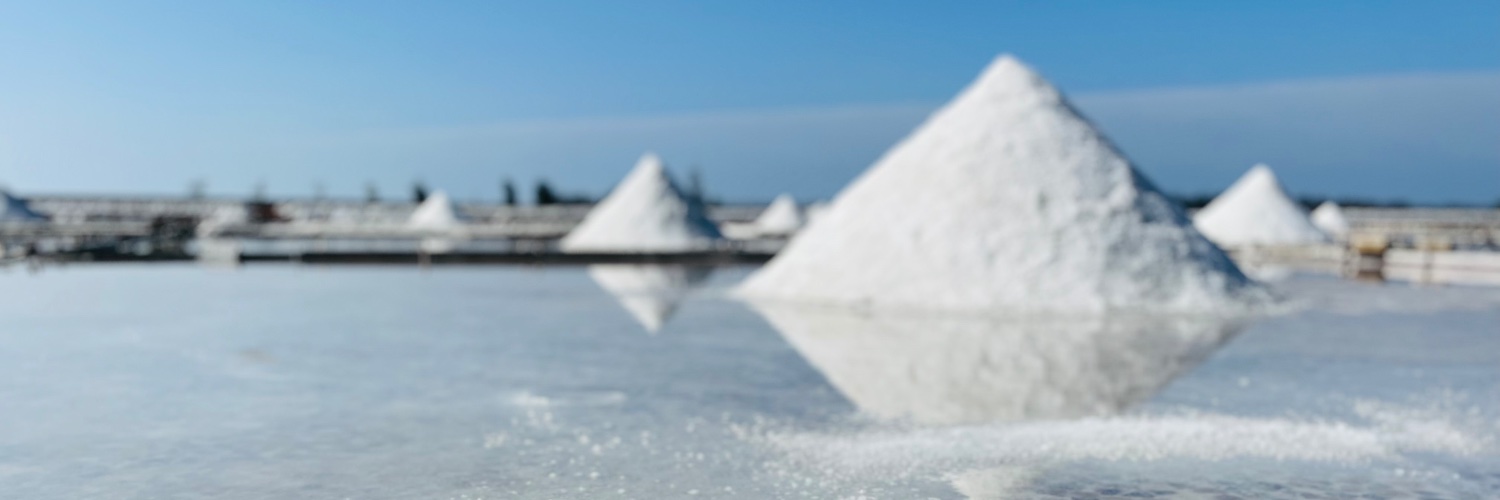 Lauren Terwilliger banner