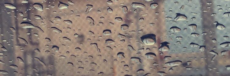 fhwooood's profile banner image