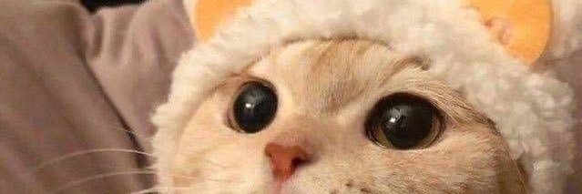 _Secret_cr's profile banner image
